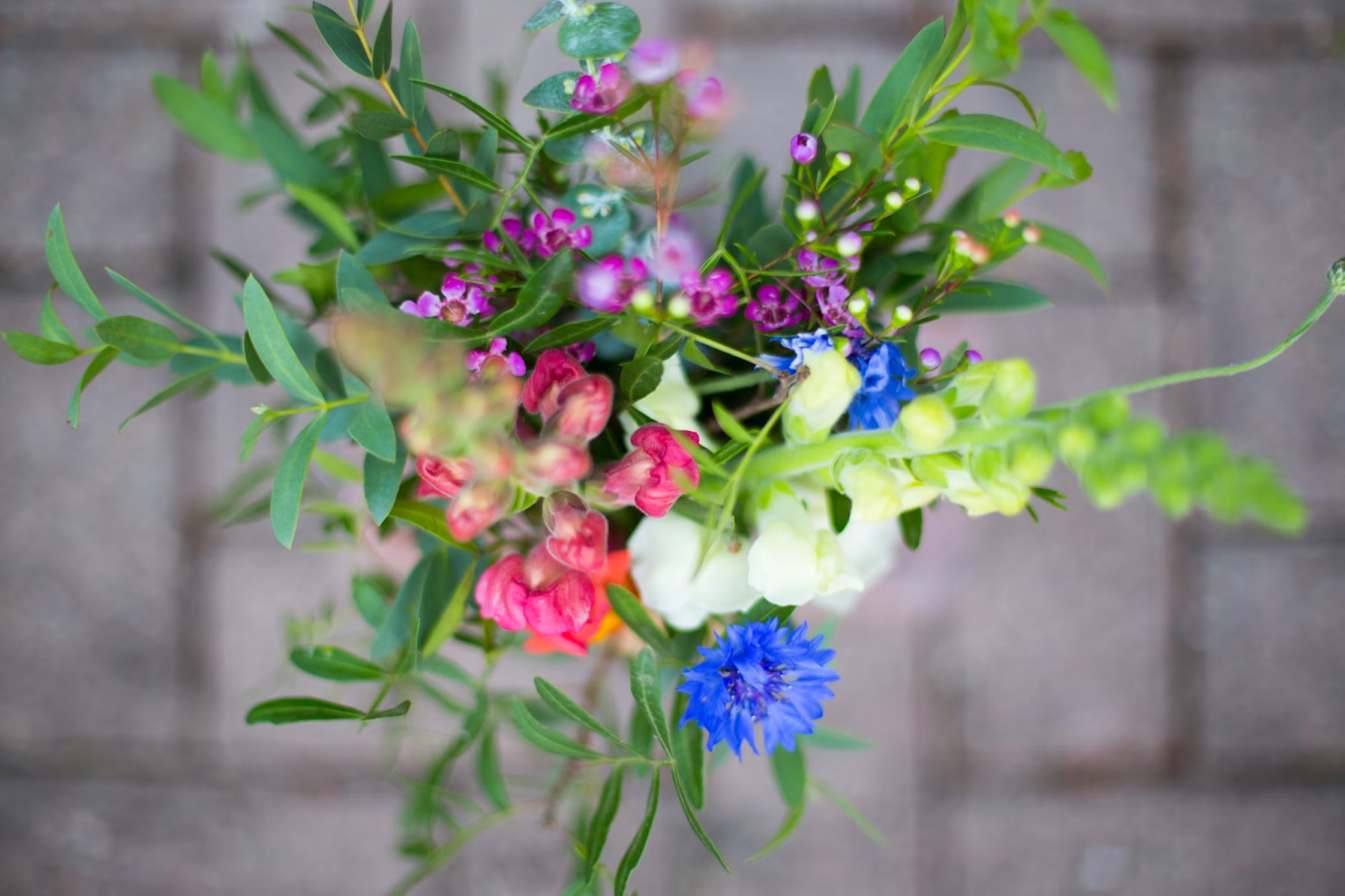 Auf dem Bild ist ein bunter, lebhafter Blumenstrauß von oben zu sehen. Die farbenfrohen Blüten setzen sich aus leuchtend blauen, rosa, weißen und violetten Tönen zusammen. Besonders auffällig ist eine kräftig blaue Blume, die sich durch ihre intensive Farbe von den anderen abhebt. Kleine violette Blüten und zarte weiße Blüten verteilen sich harmonisch im Strauß. Die grünen Blätter und Zweige füllen den Strauß auf, während sie für ein frisches und natürliches Erscheinungsbild sorgen. Der gesamte Strauß wirkt locker arrangiert und strahlt eine leichte, frühlingshafte Atmosphäre aus.